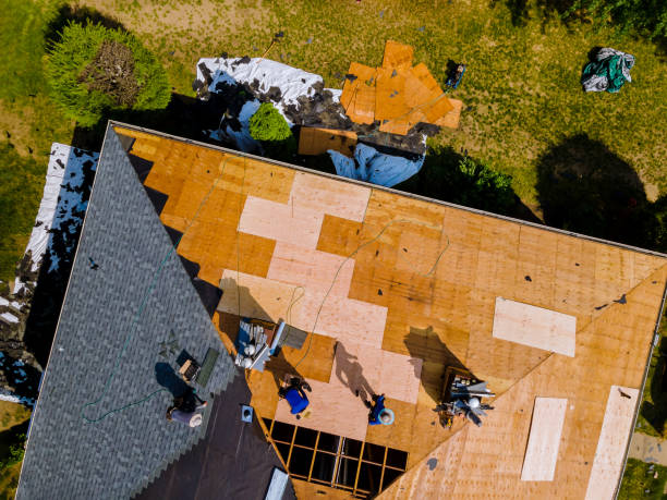 Best Roof Maintenance Services  in Marshall, VA
