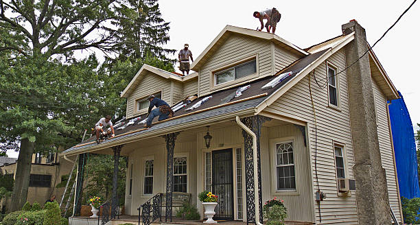 Best Flat Roof Repair Services  in Marshall, VA