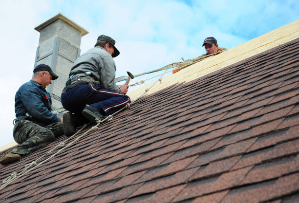 Best Residential Roofing Contractor  in Marshall, VA